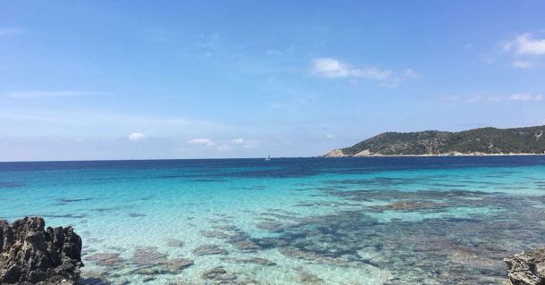 Sailing through the Ses Salines Natural Park in Ibiza: discover its flora and fauna
